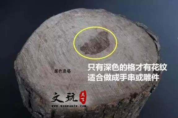 海南黄花梨手串的价格为什么高？应该如何盘玩？-2