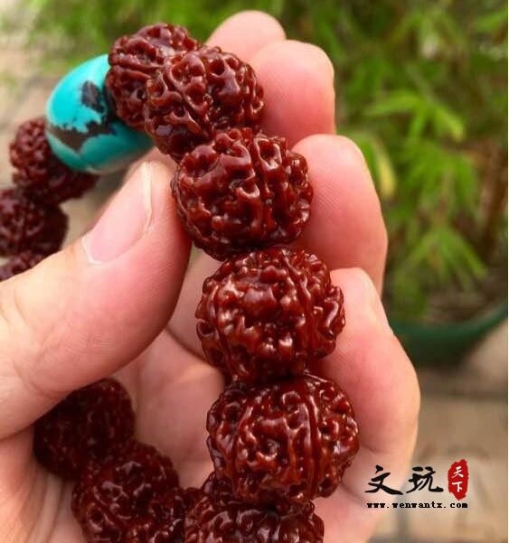 盘玩金刚菩提的五个误区-5