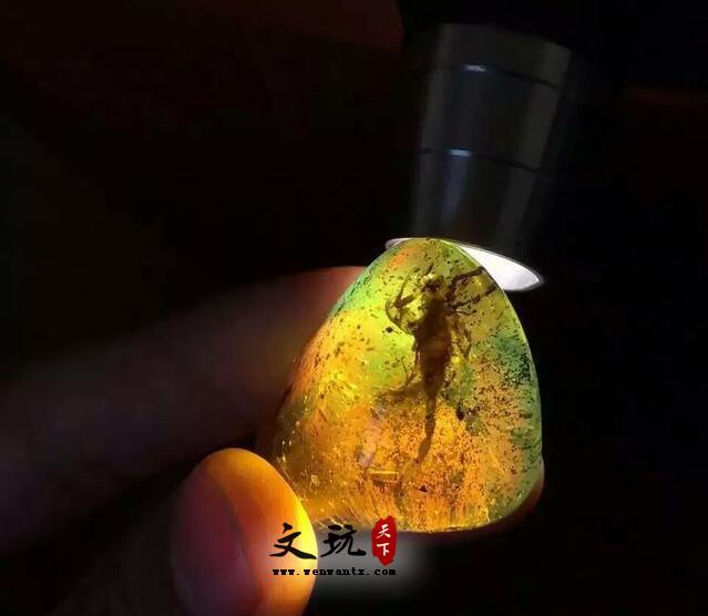 虫珀如何鉴定虫珀？请参照以下六点-5